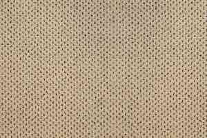 Ковролин Зартекс Eternity 142 Бежевый фото  | FLOORDEALER